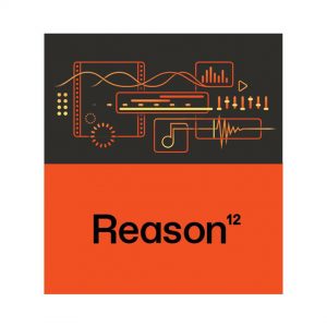 Reason 12